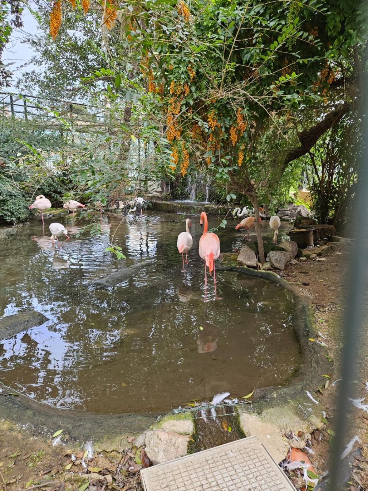 パレルモCasa Porta Nuovaアパートメント エクステリア 写真